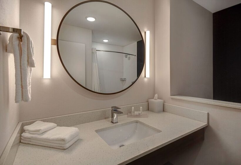 Отель Fairfield By Marriott Inn & Suites Grand Rapids Wyoming