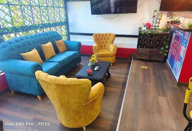 酒店 Kristal Ferial