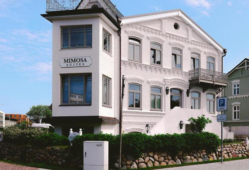 酒店 Mimosa Suites