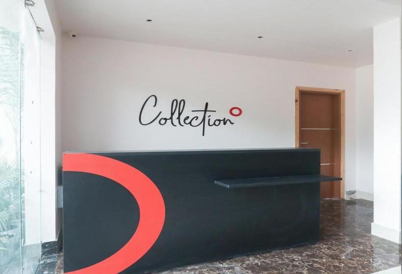 ホテル Oyo 79355 Collection O  Adona