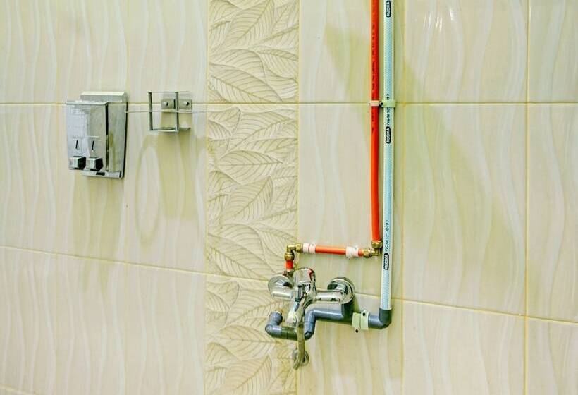 בית מלון כפרי Oyo 90307 Fj Alfaeyza Kost