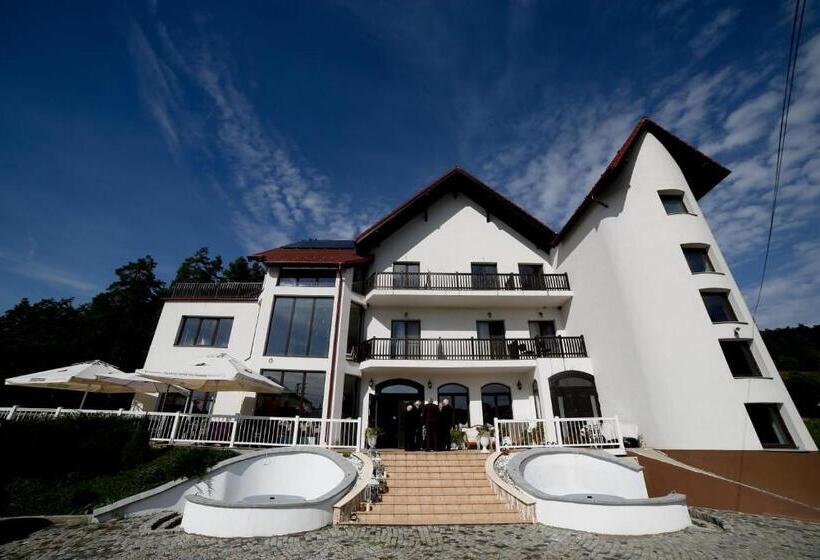 ホテル Pensiunea Baroc