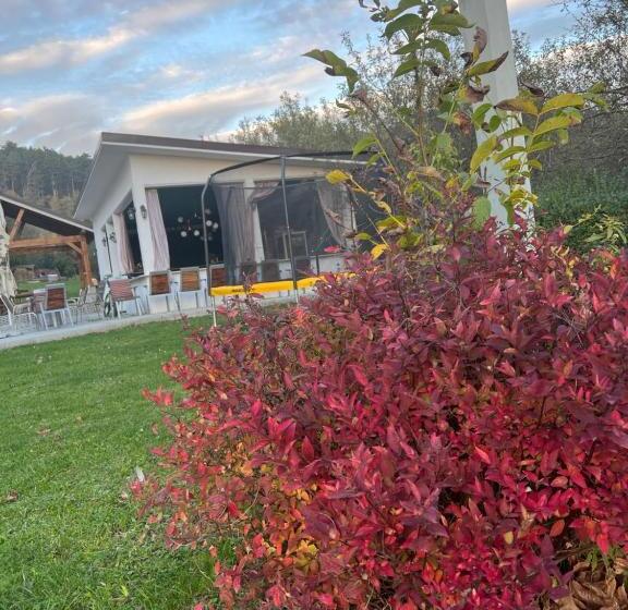 ホテル Pensiunea Baroc