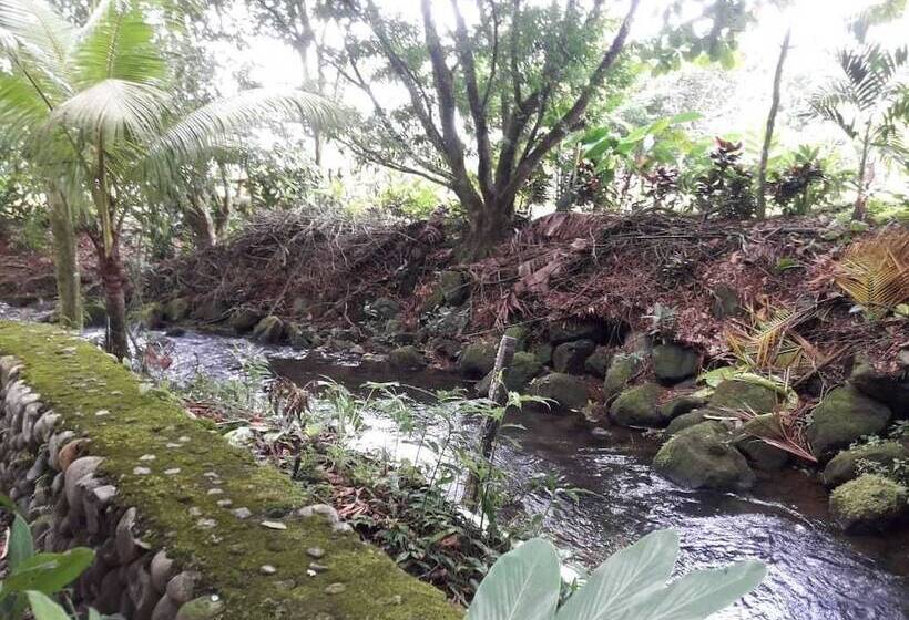 호텔 Rio Danta Hostel