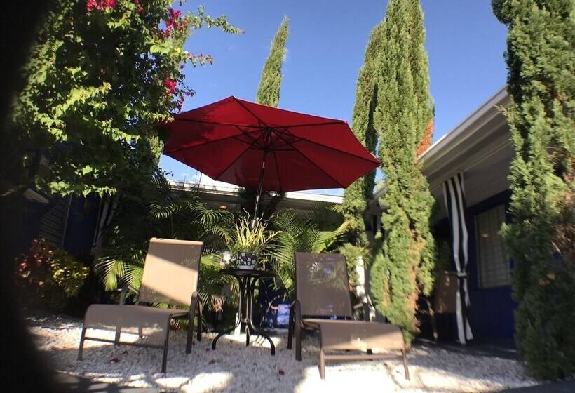 Отель Sir David Guesthouse   Adults Only