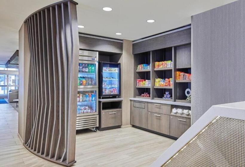 هتل Springhill Suites By Marriott Chicago Chinatown