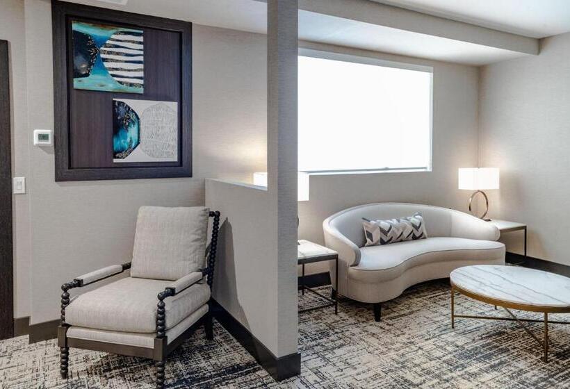 هتل Springhill Suites By Marriott Chicago Chinatown