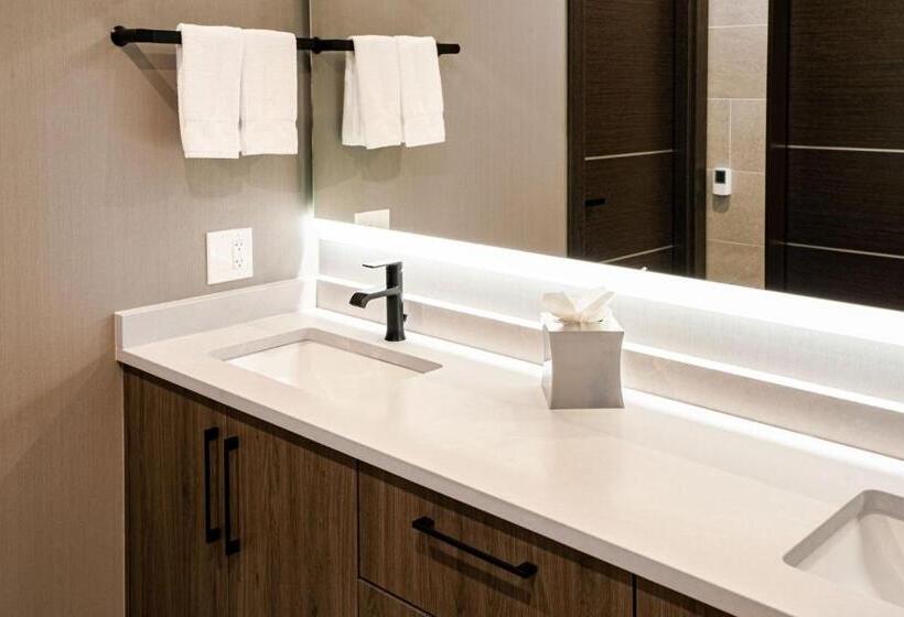 هتل Springhill Suites By Marriott Chicago Chinatown