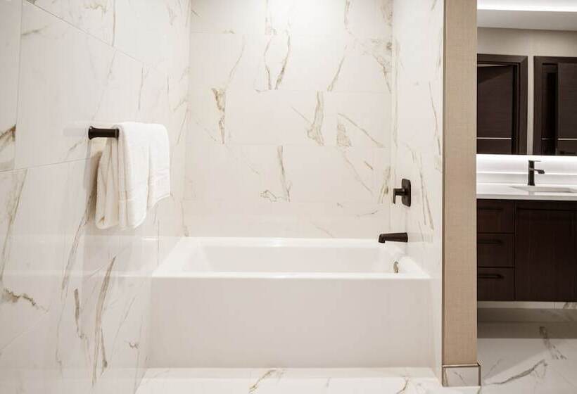 هتل Springhill Suites By Marriott Chicago Chinatown