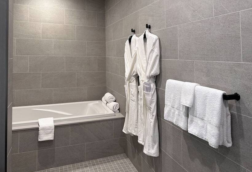 هتل Springhill Suites By Marriott Chicago Chinatown