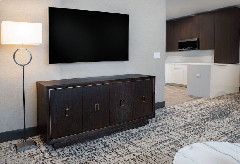 هتل Springhill Suites By Marriott Chicago Chinatown