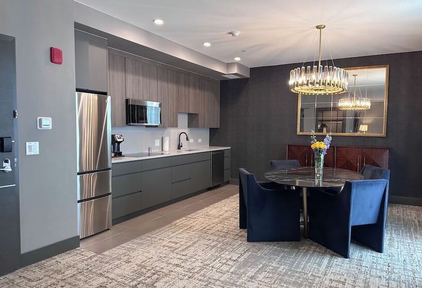 هتل Springhill Suites By Marriott Chicago Chinatown