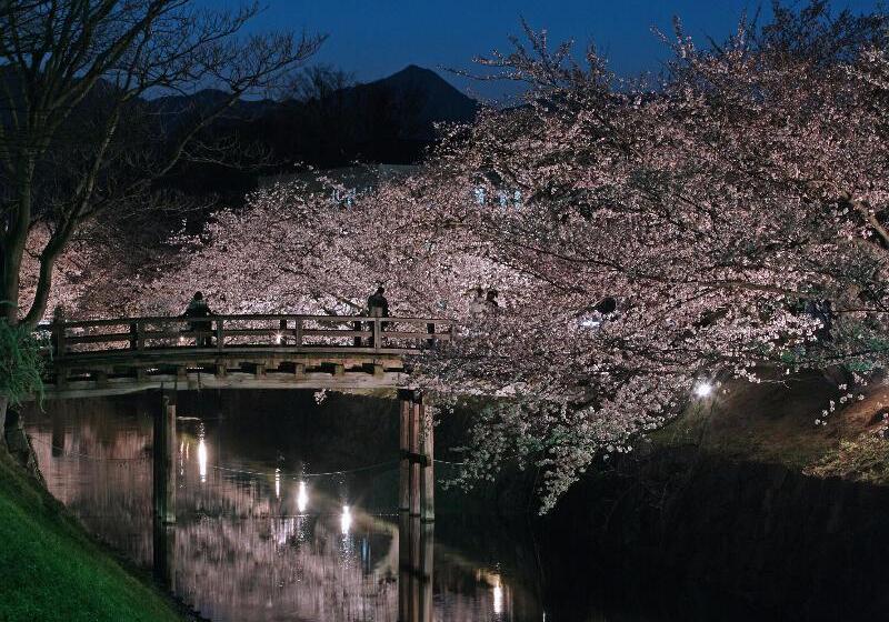 ホテル Toyoko Inn Matsumoto Ekimae Hommachi