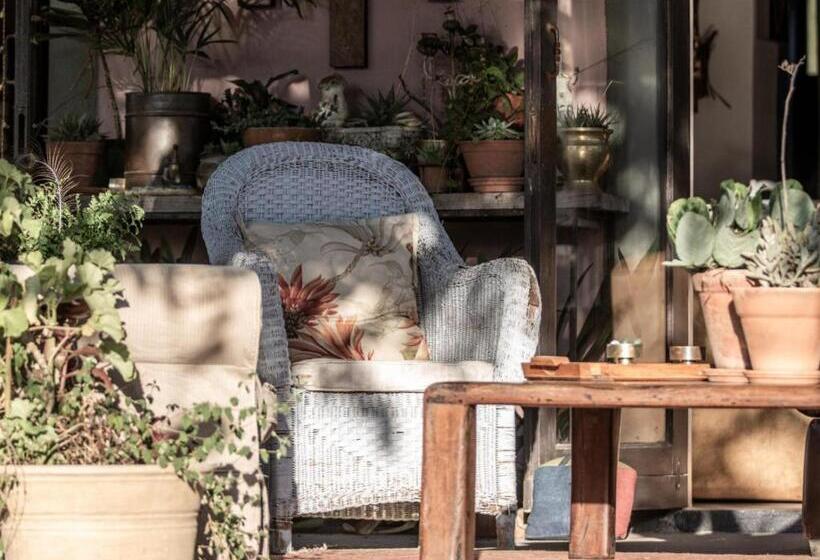 بنسيون Ebonymoon Guest House