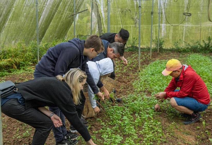 استراحتگاه Avana Retreat