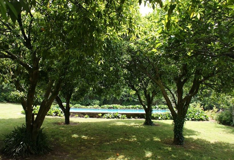 Casa Dos Assentos De Quintiães