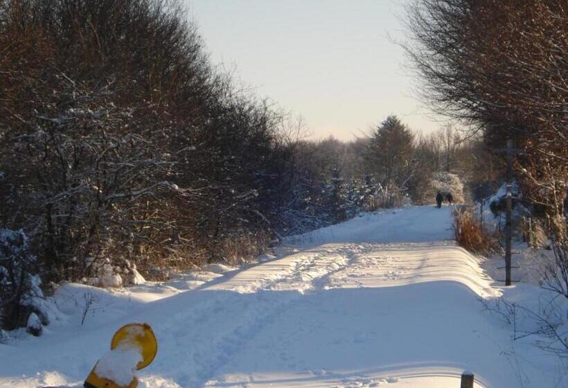 Charme   Hotel Lindenhof