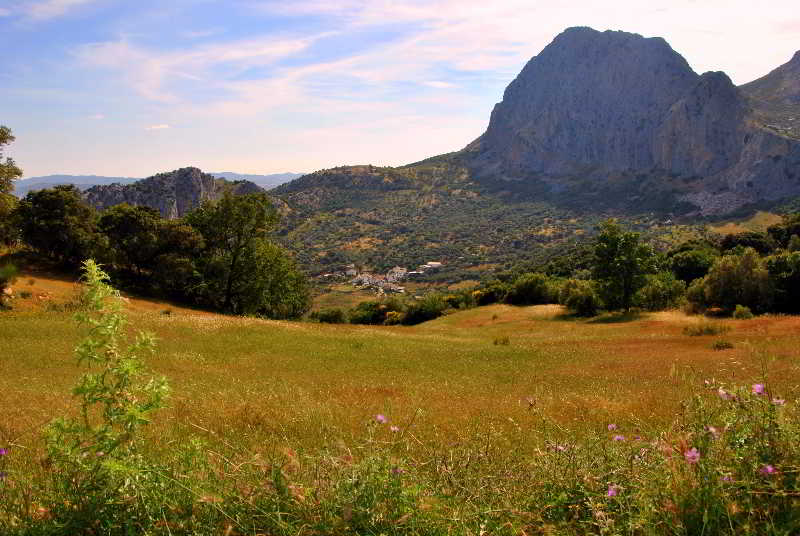 Cortijo Las Monjas