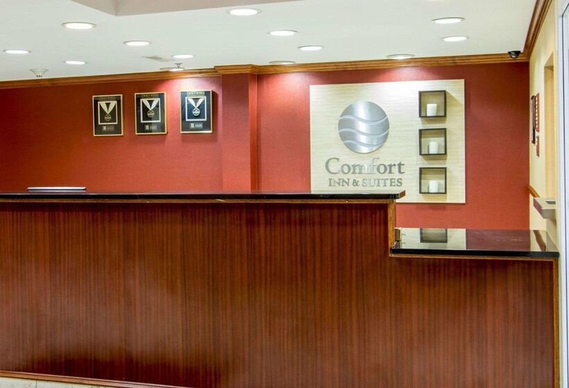 ホテル Comfort Inn & Suites Airport Convention Center