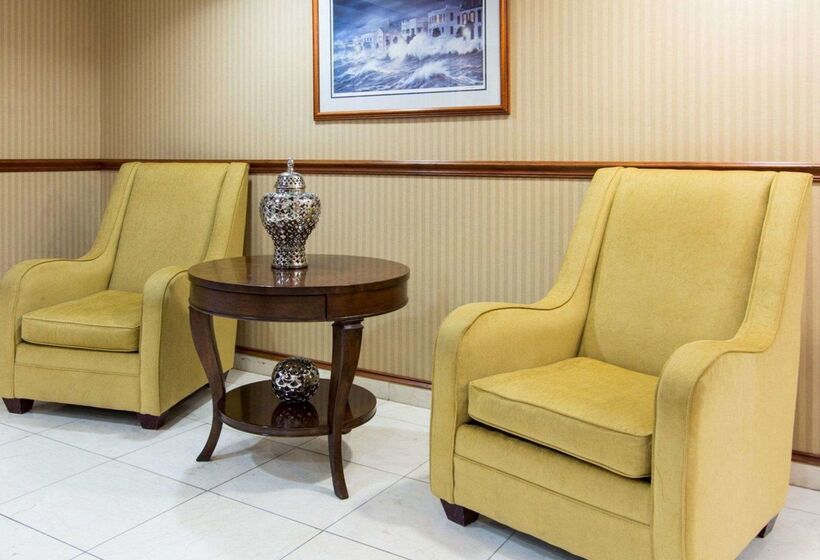 ホテル Comfort Inn & Suites Airport Convention Center