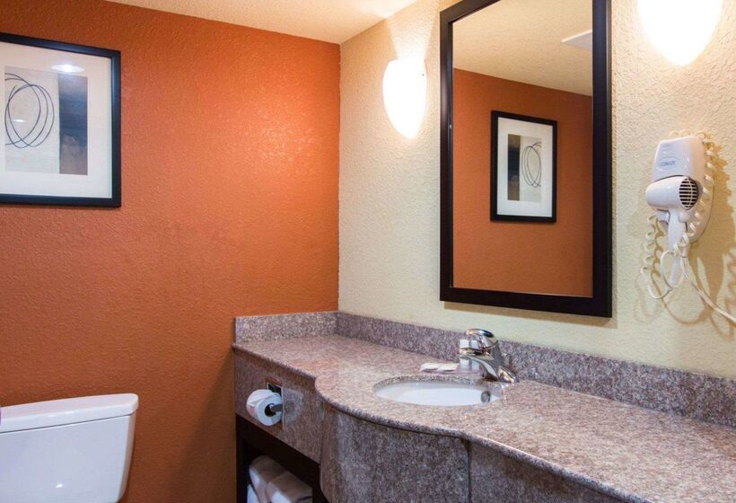 ホテル Comfort Inn & Suites Airport Convention Center