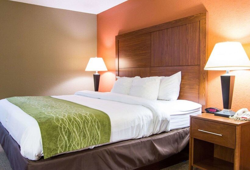 ホテル Comfort Inn & Suites Airport Convention Center