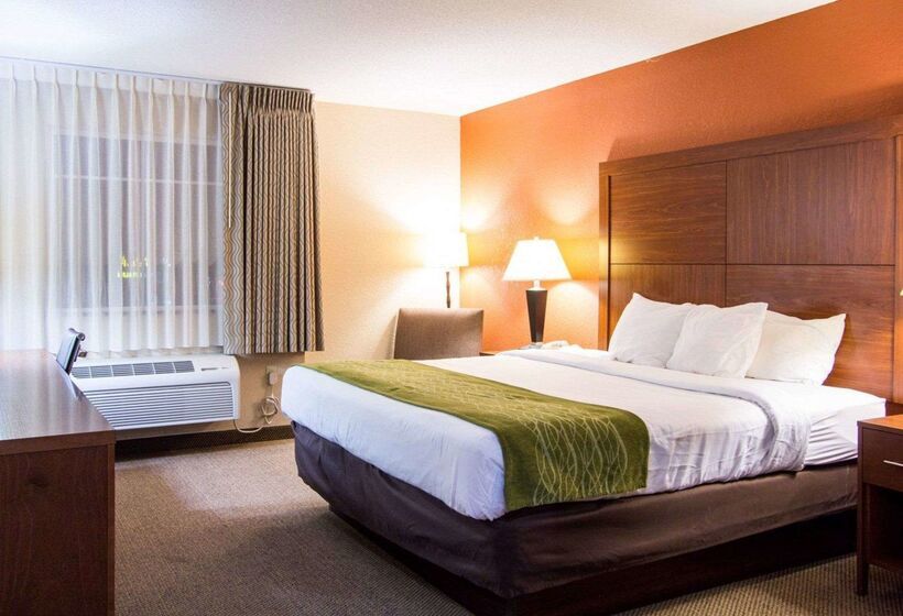 ホテル Comfort Inn & Suites Airport Convention Center