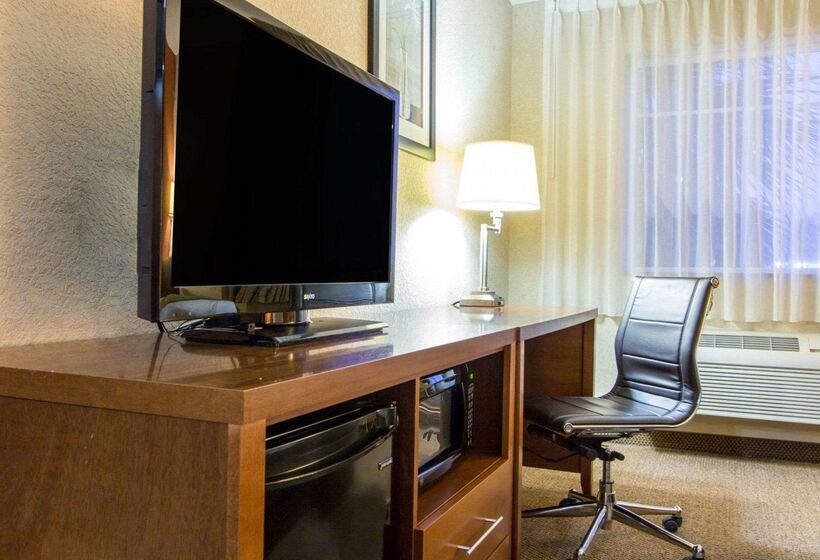 ホテル Comfort Inn & Suites Airport Convention Center