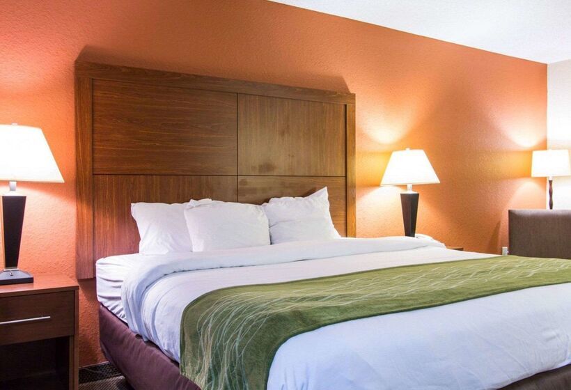 ホテル Comfort Inn & Suites Airport Convention Center