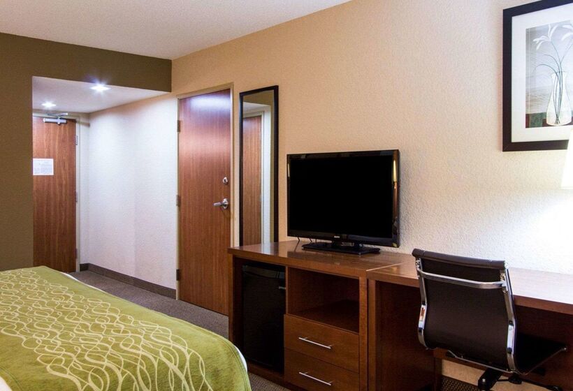 ホテル Comfort Inn & Suites Airport Convention Center