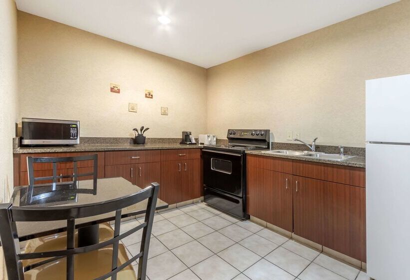 ホテル Comfort Inn & Suites Airport Convention Center