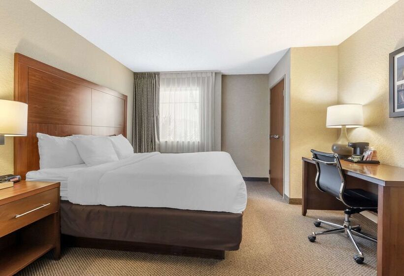 ホテル Comfort Inn & Suites Airport Convention Center