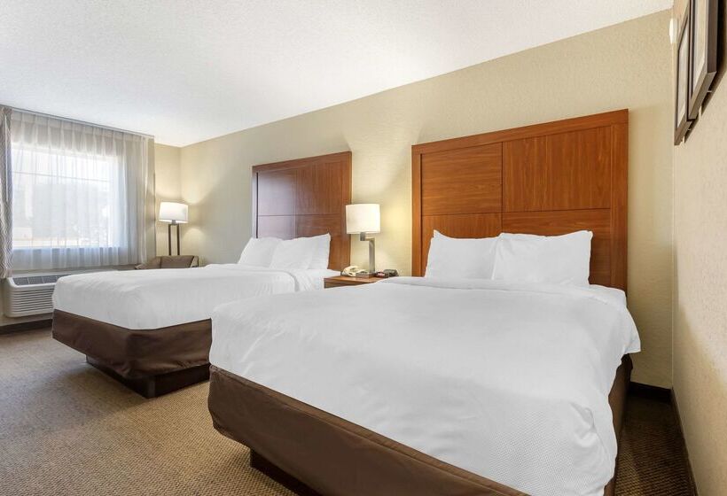 ホテル Comfort Inn & Suites Airport Convention Center