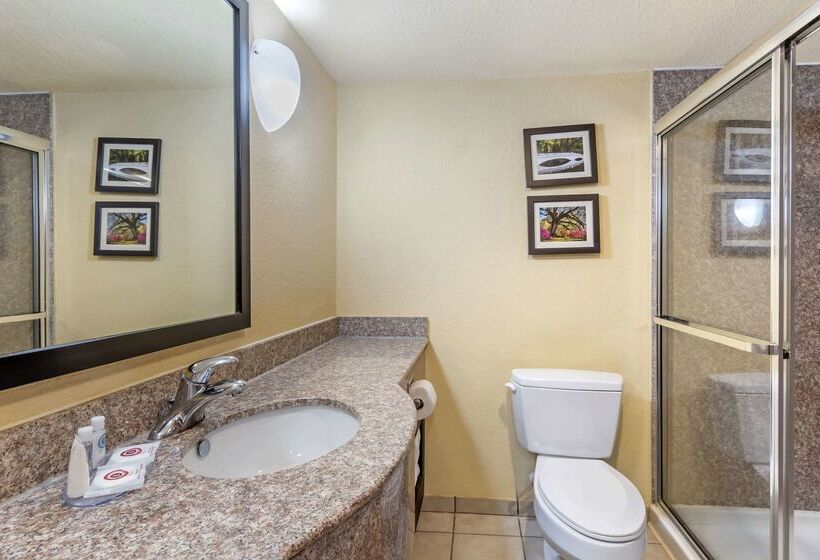 ホテル Comfort Inn & Suites Airport Convention Center