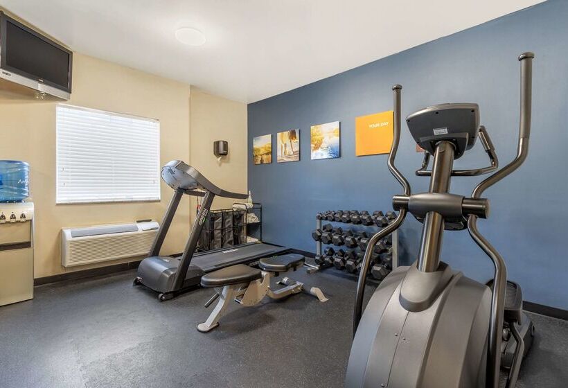 ホテル Comfort Inn & Suites Airport Convention Center