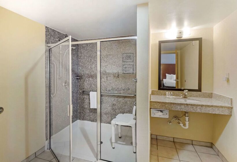 ホテル Comfort Inn & Suites Airport Convention Center