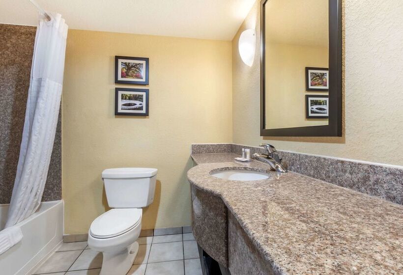 ホテル Comfort Inn & Suites Airport Convention Center