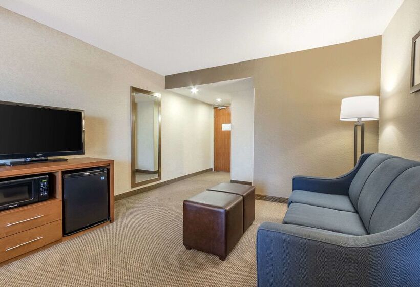 ホテル Comfort Inn & Suites Airport Convention Center