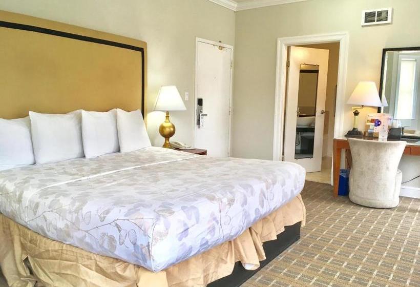 ホテル Americas Best Value Inn & Suites  Soma