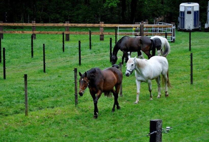 בית מלון כפרי B&b De Edelsteen