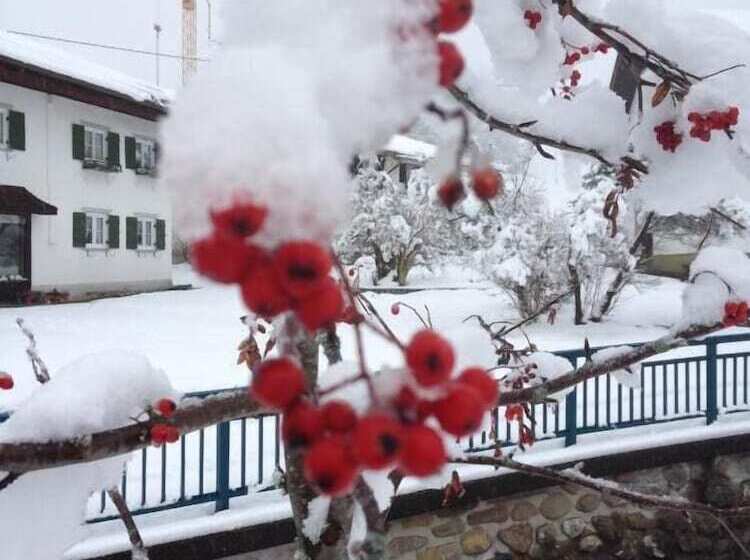 فندق Bed & Breakfast Jungholz   Pension Katharina