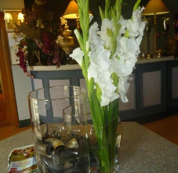 酒店 Chalet Sur Lesse