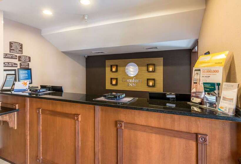 ホテル Comfort Inn & Suites Panama City North