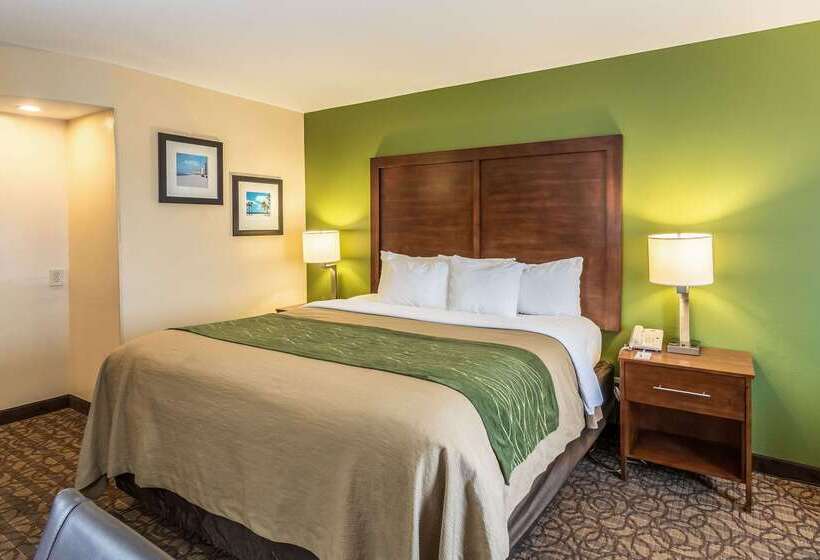 ホテル Comfort Inn & Suites Panama City North