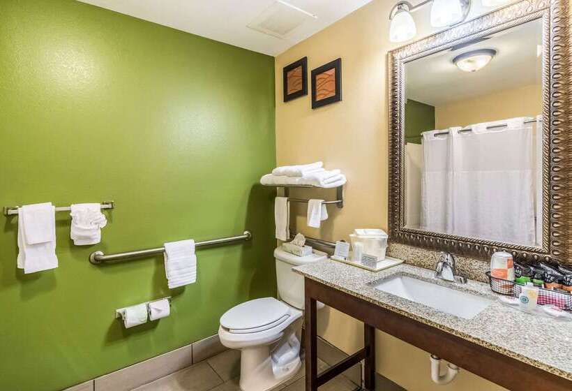 ホテル Comfort Inn & Suites Panama City North