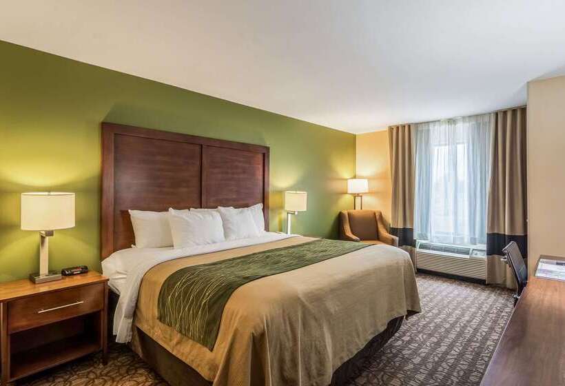 ホテル Comfort Inn & Suites Panama City North