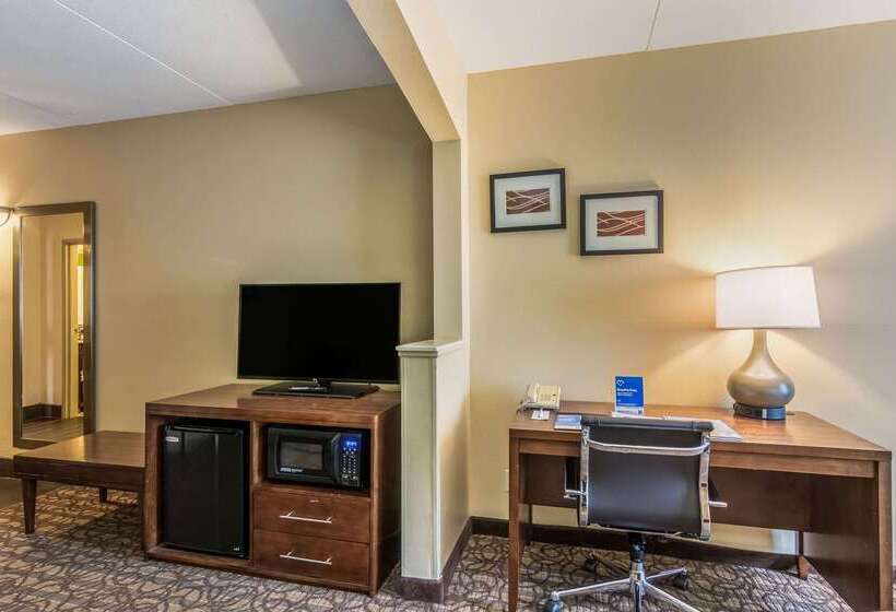 ホテル Comfort Inn & Suites Panama City North