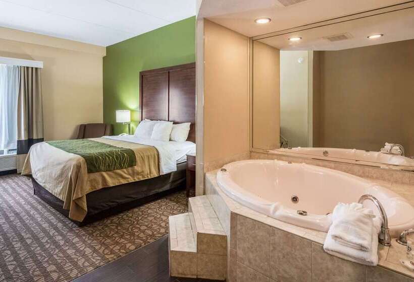 ホテル Comfort Inn & Suites Panama City North