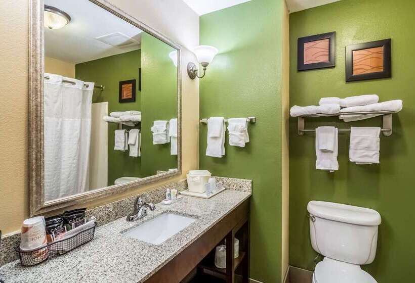 ホテル Comfort Inn & Suites Panama City North