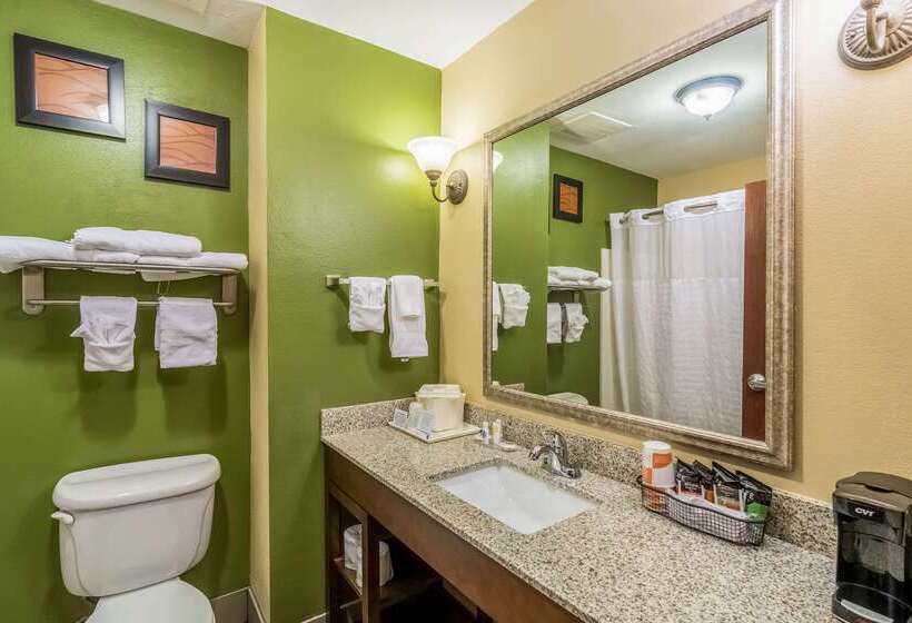 ホテル Comfort Inn & Suites Panama City North